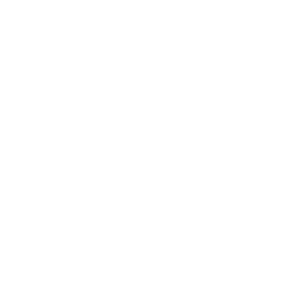 Ícone Sigilo e Privacidade